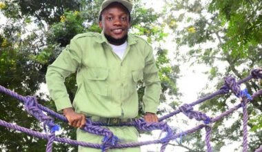 What To Do After NYSC